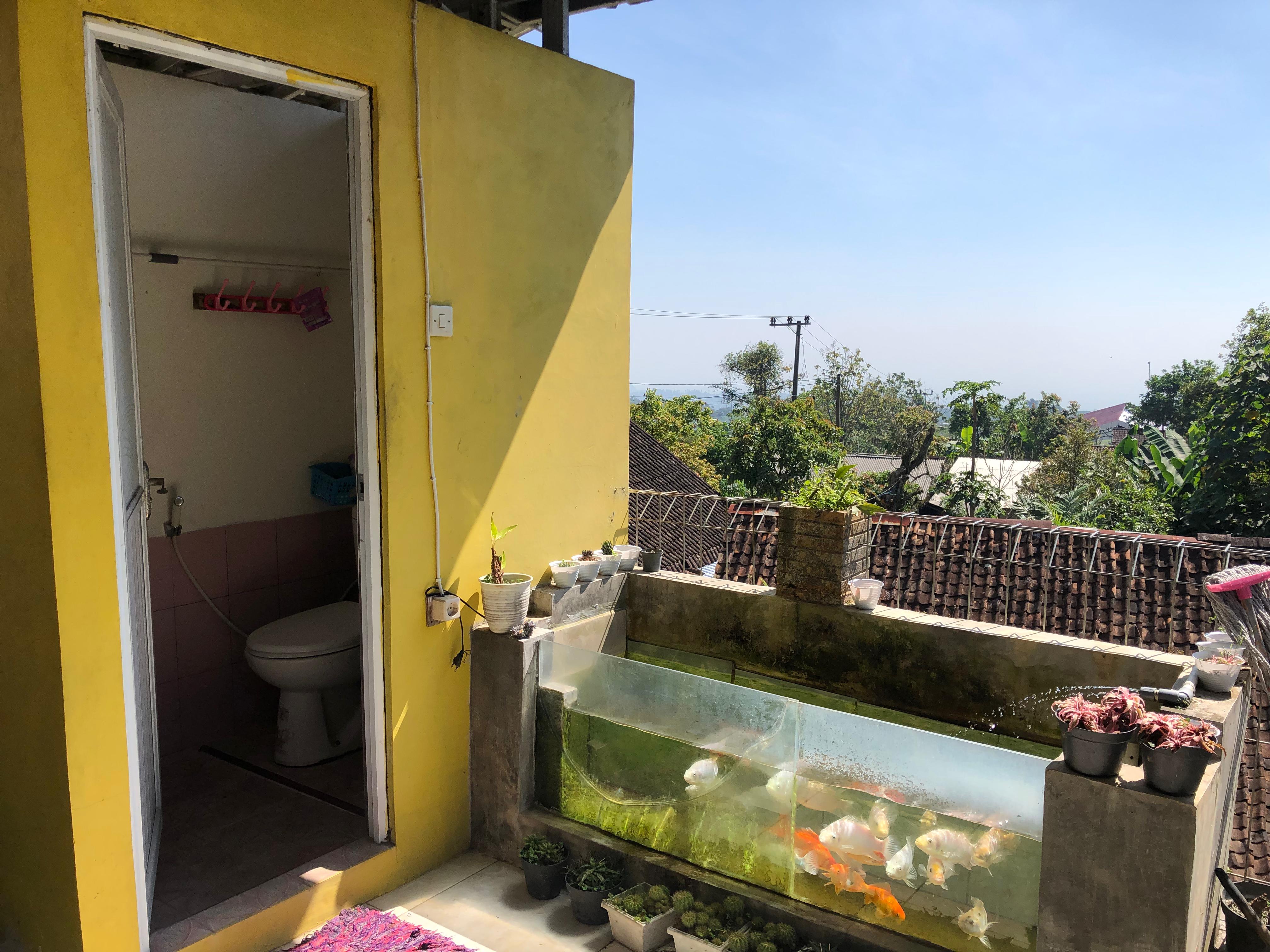 Kolam Ikan Kaca Luar